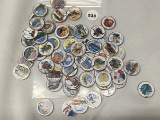 (56) Painted State Quarters