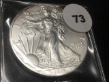 2017 Silver Eagle