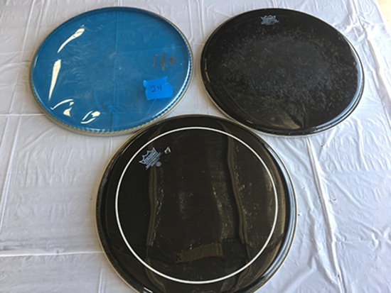 (3) 13 inch  Drum heads