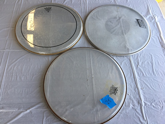 (3) 13 inch  Drum heads