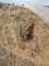 10 X $ Brome Alalfa, 2nd Cutting 9/5/22