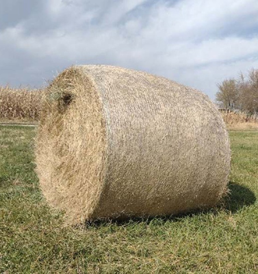 10 X $ Mixed Grass, 2nd Cutting 8/31/22