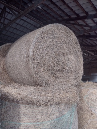 12 X $ Mixed Grass, 2nd Cutting 8/31/22