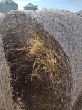 12 X $ Oat Bale w/Oats 6/15/22