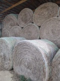 10 X $  Mixed Grass, 2nd Cutting, Carry over 1st Cutting 8/20/21, Stored Inside