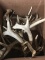 Antlers