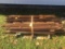 Lot of 70 plus used steel post, various lengths