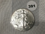 2015 Silver Eagle