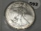2009 Silver Eagle