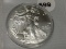 2016 Silver Eagle