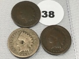 (2) 1864, 1865 Indian Cents