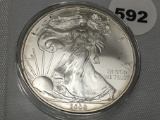 2009 Silver Eagle