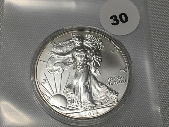 2015 Silver Eagle BU