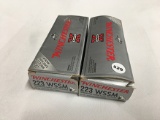 NO SHIPPING: (20 rds.) 223 WSSM 55 gr.  And box of Brass