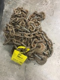 20 ft Log Chain