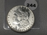 1886 Morgan Dollars