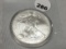 2009 Silver Eagle