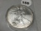 2008 Silver Eagle
