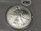 2009 Silver Eagle