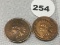 (2) 1902 Indian Cents