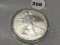2009 Silver Eagle
