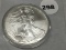 2008 Silver Eagle