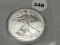 2009 Silver Eagle