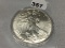 2014 Silver Eagle