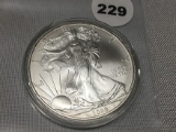 2009 Silver Eagle