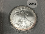 2009 Silver Eagle