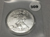 2008 Silver Eagle