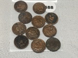 Lot of 11 1900's Indian Cents