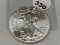 2013 Silver Eagle, BU