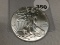 2013 Silver Eagle, BU