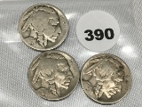 1919, 19-D, 19-S Buffalo Nickels