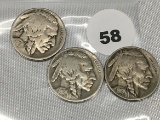 1919, 19-D, 19-S Buffalo Nickels