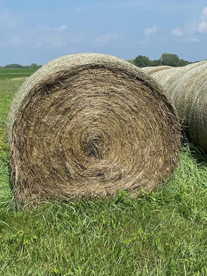 20x$ Grass Hay