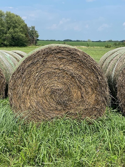 20x$ Mixed Grass Hay