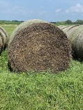 16x$ Brome