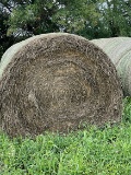 20x$ GV20 Hay