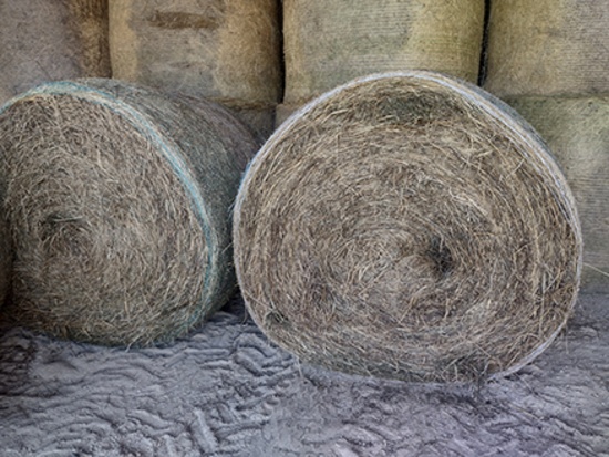 6x$ Brome Alfalfa, 2nd and 3rd Cutting, Stored Inside