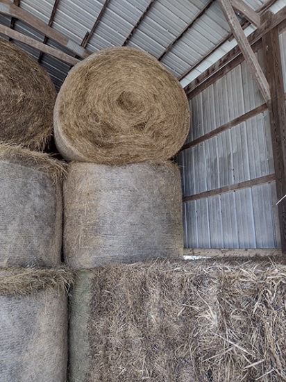 10x$ Fescue Hay, 1st Cutting, Fertilized, Stored Inside