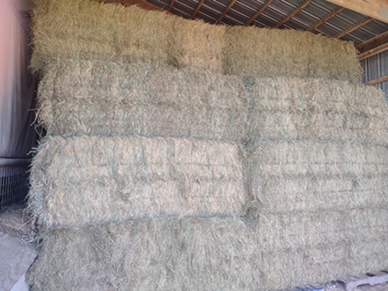 10x$ 3x3x8 Square Bales Grass Hay, 2nd Cutting