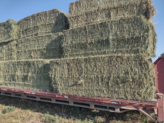 10x$ 3x3x8 Square Bales Brome Alflafa, 3rd Cutting