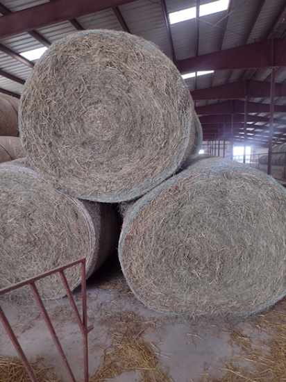 12x$ Grass Alfalfa, 3rd Cutting