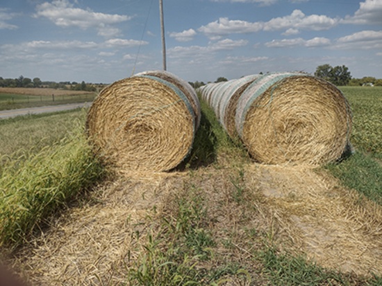 10x$ Wheat Straw
