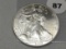 2002 Silver Eagle