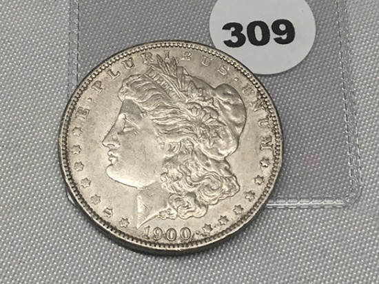 1900 Morgan Dollar