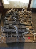 Various Antlers