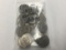 (55) 1976 (Bic) Half Dollars